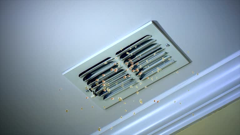 Best HVAC Maintenance and Cleaning  in South Apopka, FL