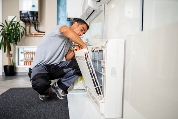 Best Professional Duct Cleaning Services  in South Apopka, FL