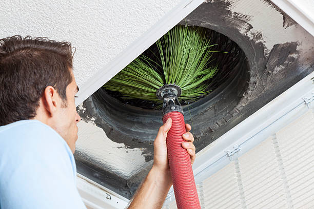 Best Best Air Duct Cleaning Near Me  in South Apopka, FL